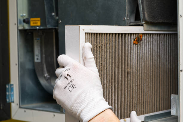 Best Air Duct Cleaning Company Near Me  in Oak Grove, AL