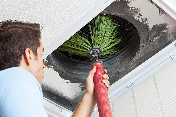 Best Emergency Air Duct Cleaning  in Oak Grove, AL
